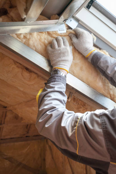Best Eco-Friendly Insulation in Port Barrington, IL