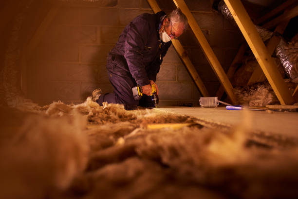 Best Geographic-Specific Insulation Services in Port Barrington, IL